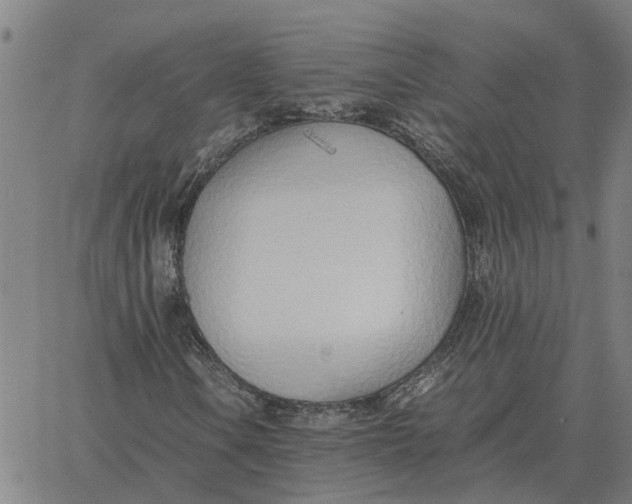 X0000061721106200512231401