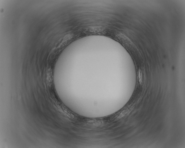 X0000061721107200512231401