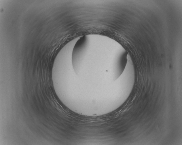 X0000061721108200512231401