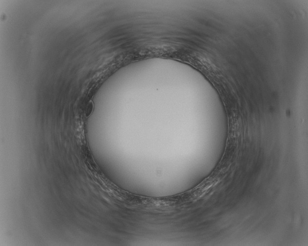 X0000061721109200512231401