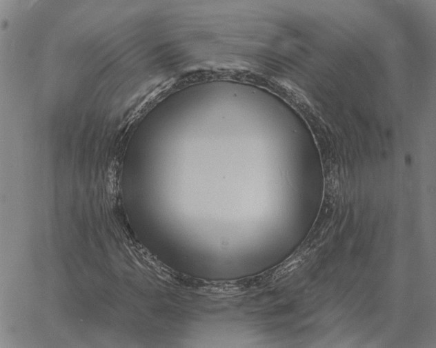 X0000061721110200512231401