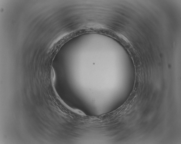 X0000061721112200512231401