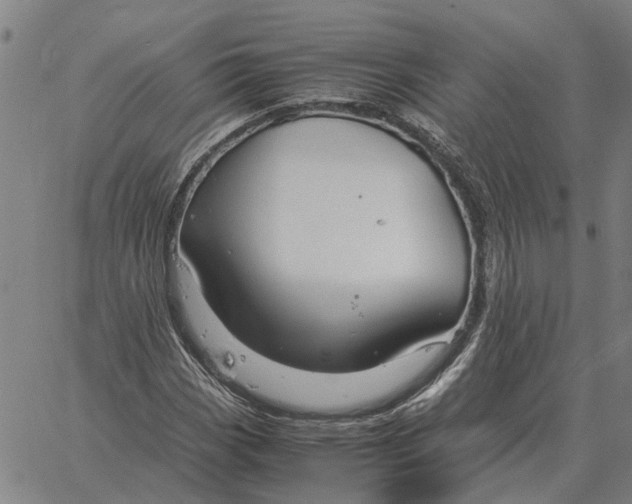 X0000061721113200512231401