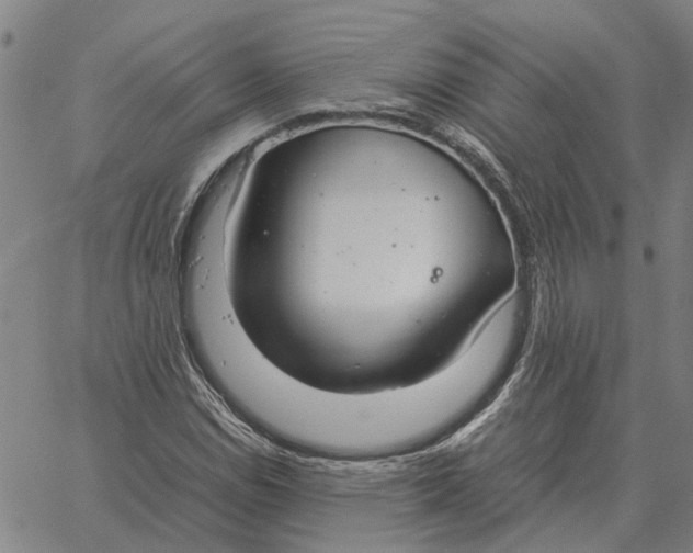 X0000061721114200512231401