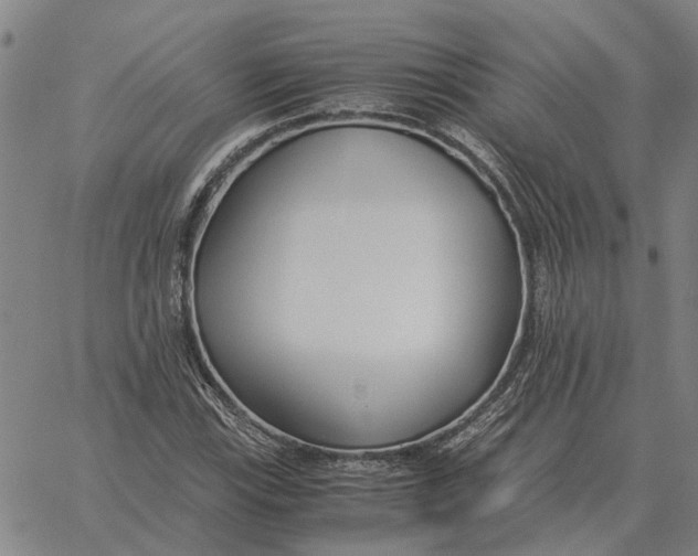 X0000061721115200512231401