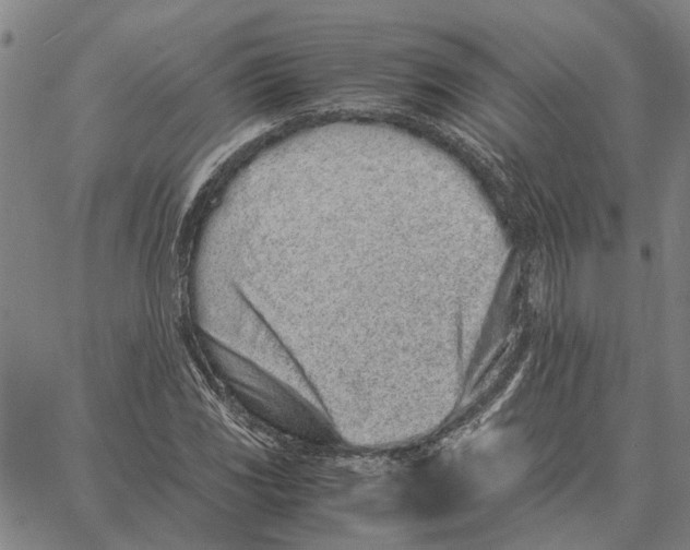 X0000061721117200512231401