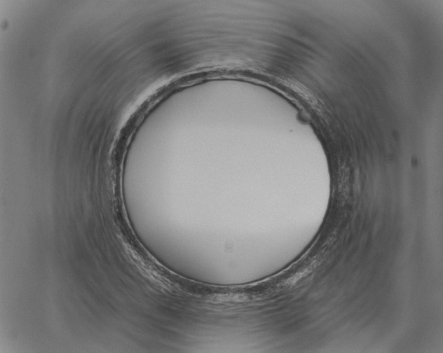 X0000061721118200512231401