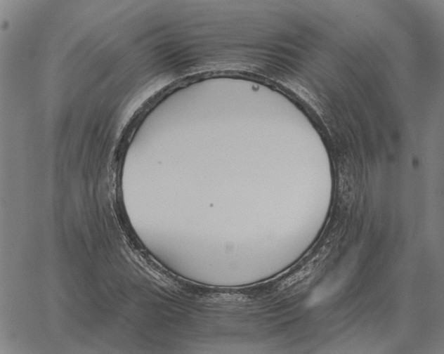 X0000061721119200512231401