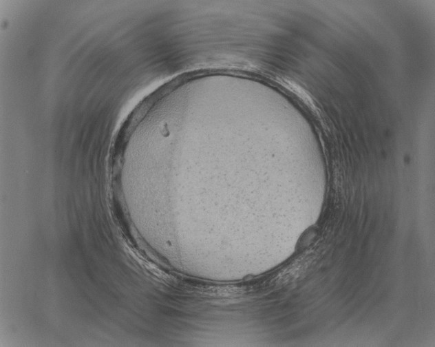 X0000061721120200512231401