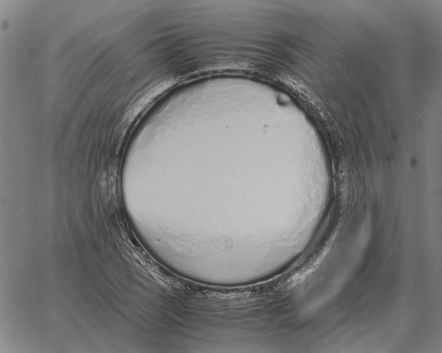 X0000061721121200512231401