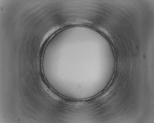 X0000061721122200512231401