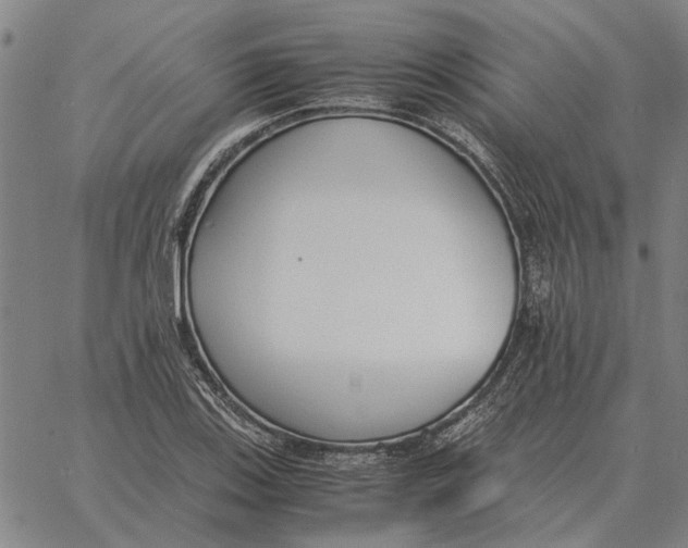 X0000061721123200512231401