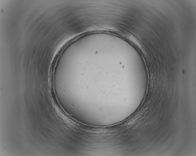 X0000061721124200512231401