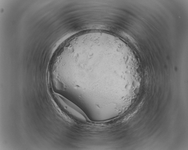 X0000061721125200512231401