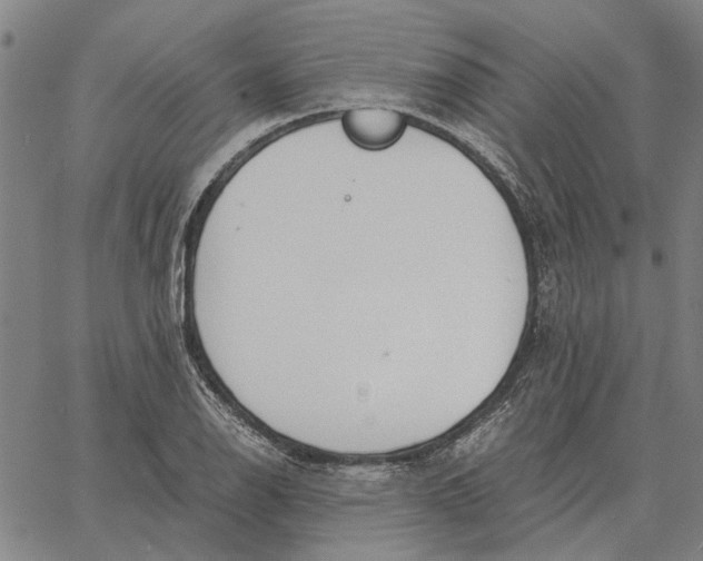 X0000061721126200512231401