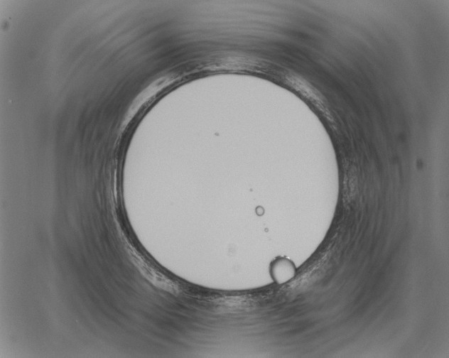 X0000061721130200512231402