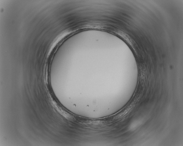 X0000061721131200512231402