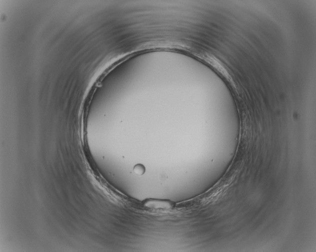 X0000061721132200512231402