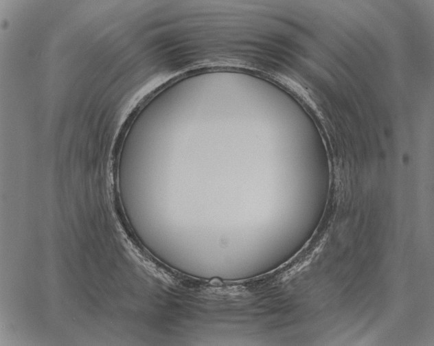 X0000061721133200512231402