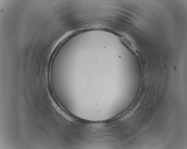 X0000061721134200512231402