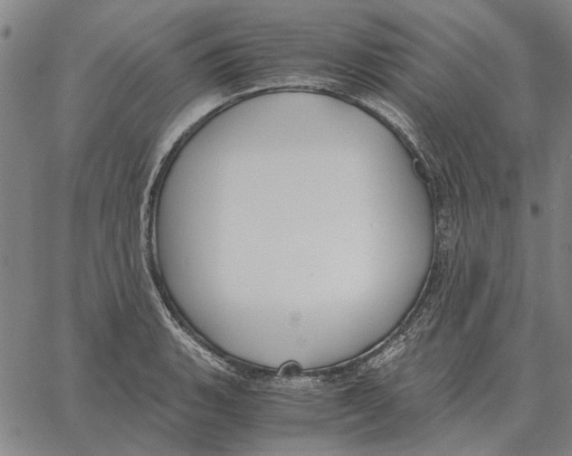 X0000061721135200512231402