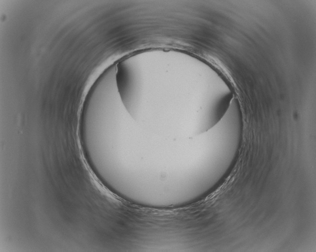 X0000061721136200512231402