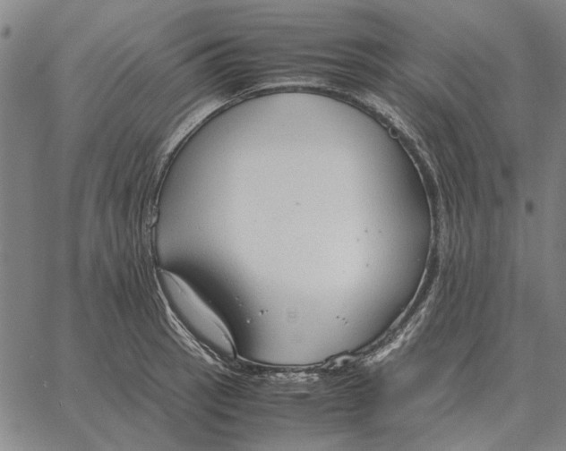 X0000061721137200512231402