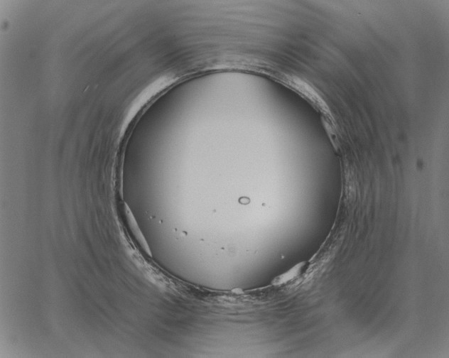 X0000061721138200512231402