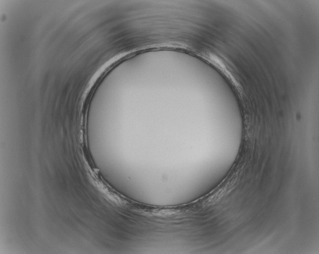 X0000061721140200512231402