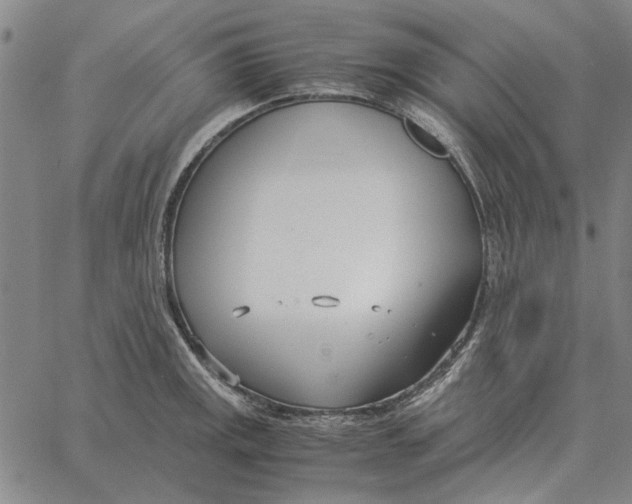 X0000061721141200512231402