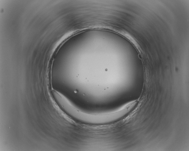 X0000061721142200512231402