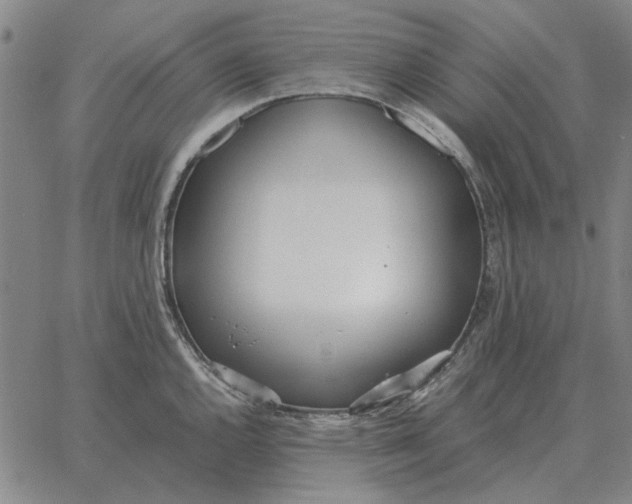 X0000061721144200512231402