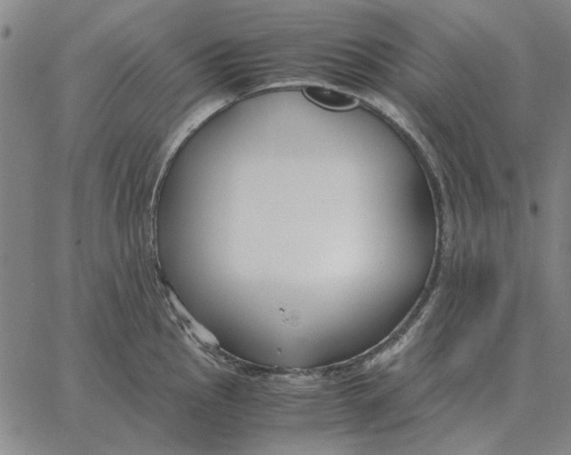 X0000061721145200512231402