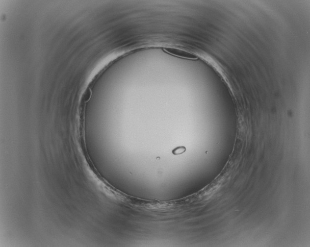 X0000061721147200512231402