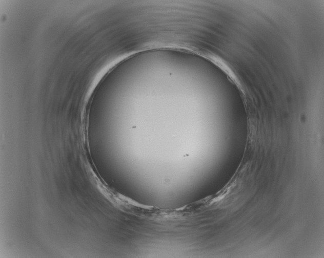 X0000061721148200512231402