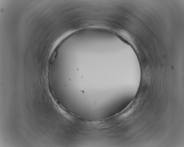 X0000061721149200512231402