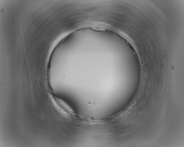 X0000061721152200512231402