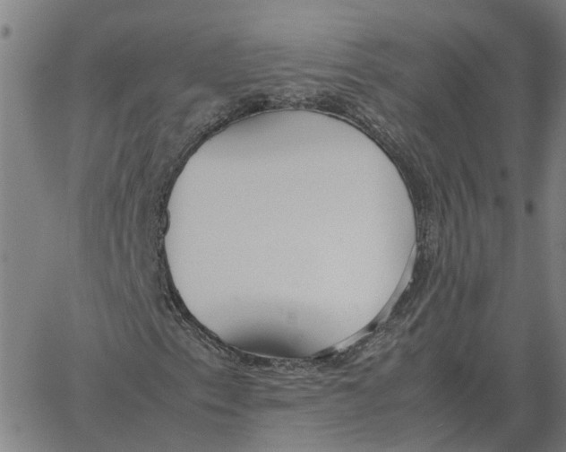 X0000061721153200512231401