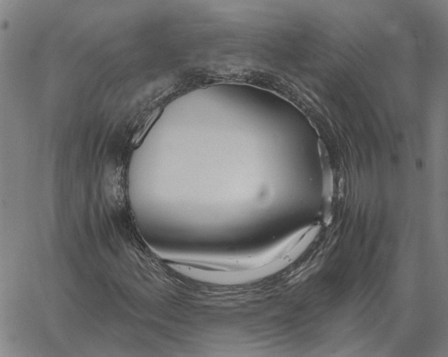 X0000061721156200512231401