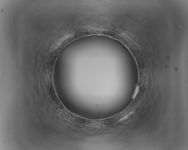 X0000061721157200512231401