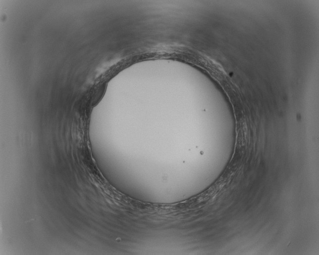 X0000061721158200512231401