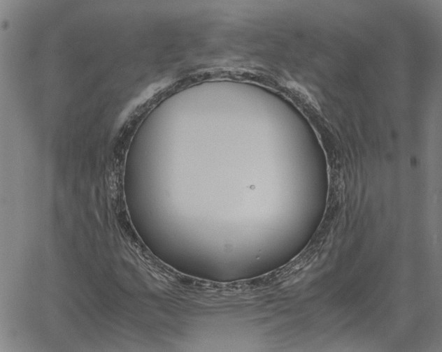 X0000061721159200512231401