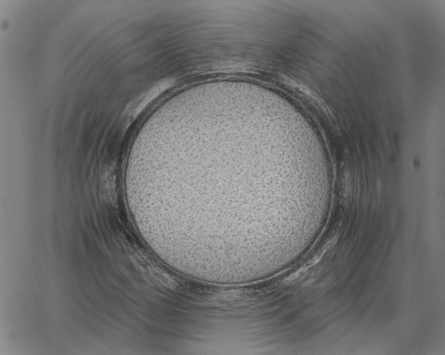 X0000061721162200512231401