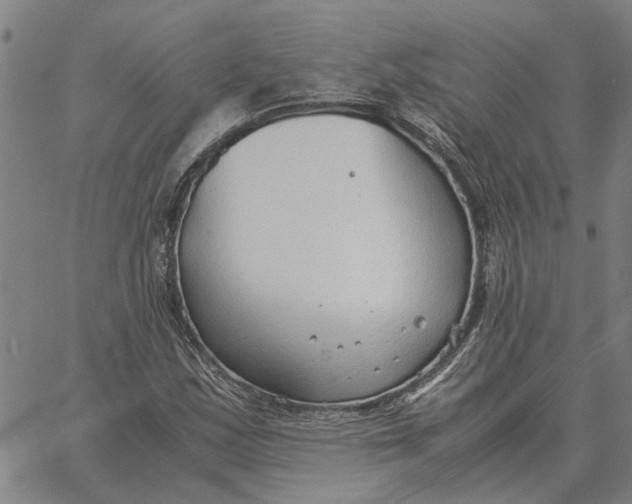 X0000061721163200512231401