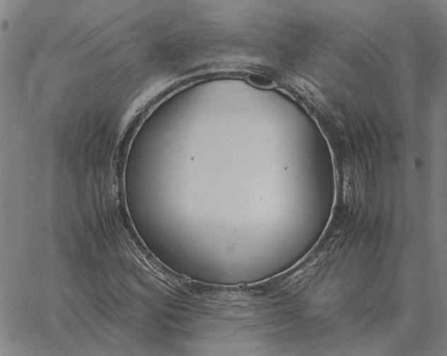 X0000061721164200512231401