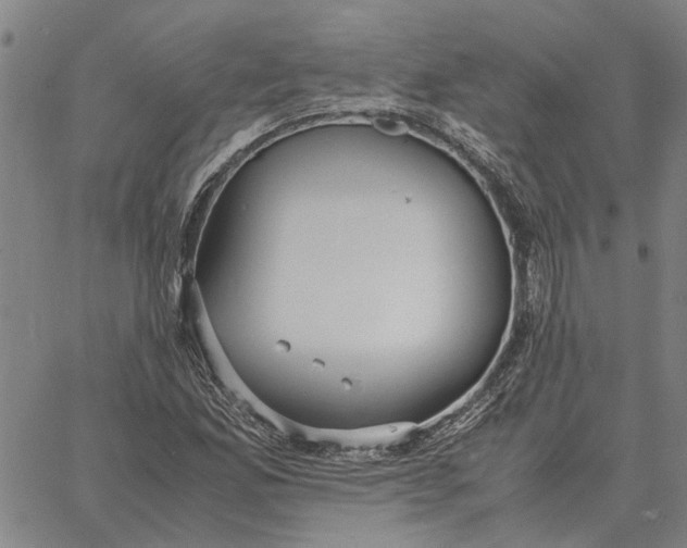 X0000061721165200512231401