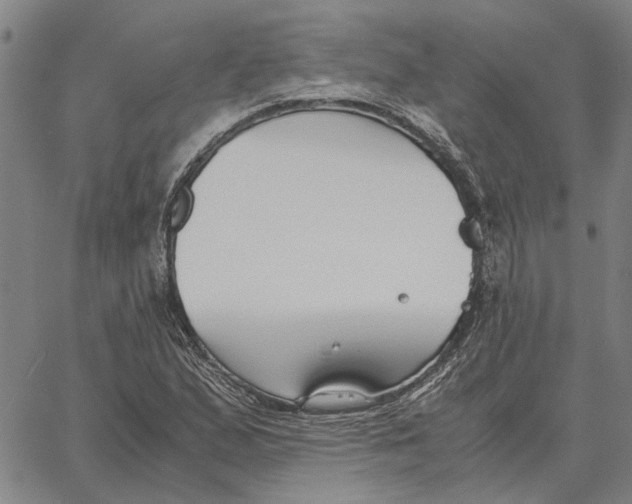 X0000061721167200512231401