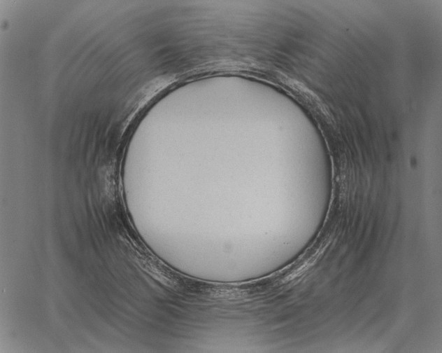 X0000061721170200512231401