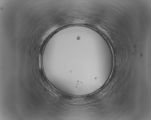 X0000061721171200512231401