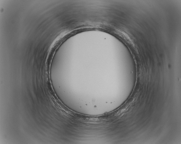 X0000061721172200512231401